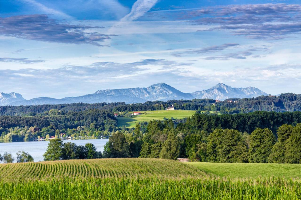 Landhaus Tanner Waging am See Exterior foto